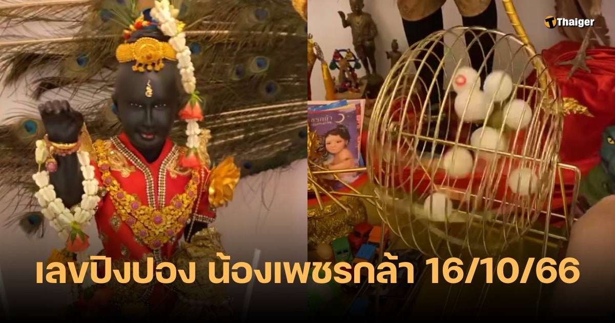 เลขปิงปองน้องเพชรกล้า 16/10/66 ลุ้นเลขเด็ดงวดนี้ เด่นเบิ้ลอัดหนัก ๆ | Thaiger ข่าวไทย