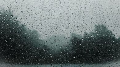 กรมอุตุนิยมวิทยาประกาศเตือน พายุโคอินุ