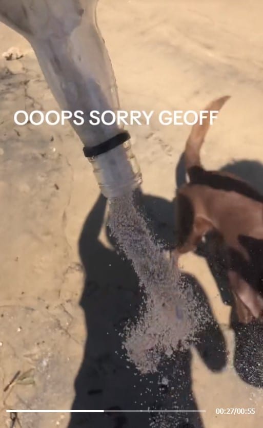 กระดูกในขวดแก้ว