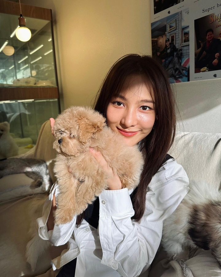 กรีน อัษฎาพรกับสุนัข