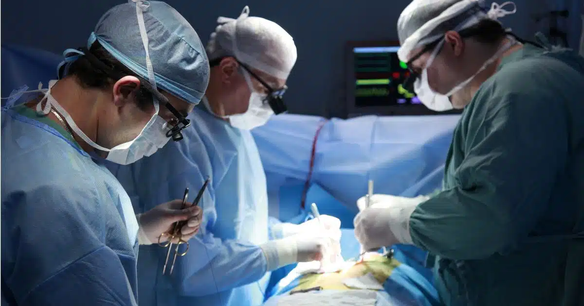 เรียนหมอจบมาแล้วมีงานทำ