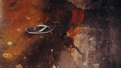 ฆ่ายัดตู้คอนเทนเนอร์ลาดกระบัง