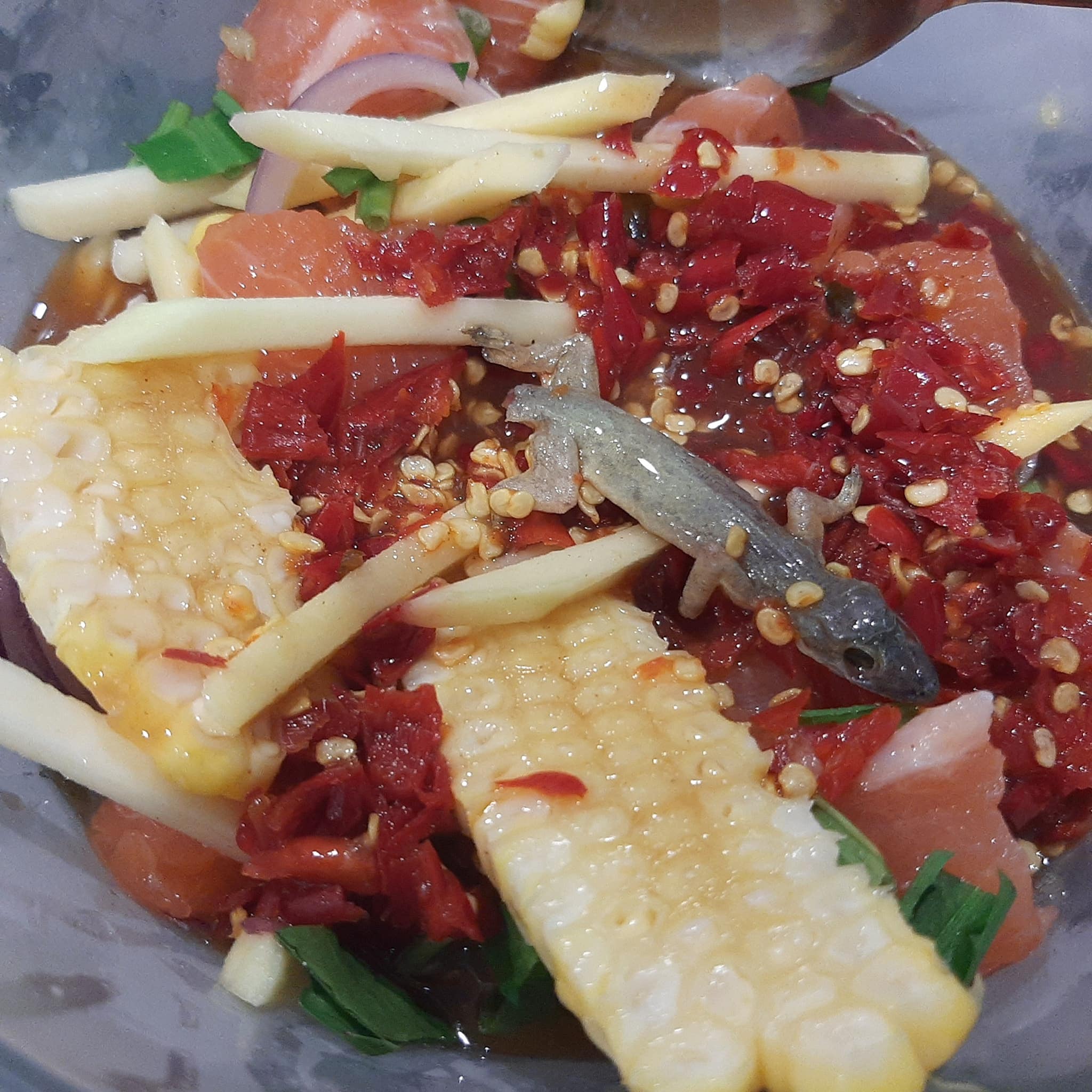 จิ้งจกในยำแซลมอน