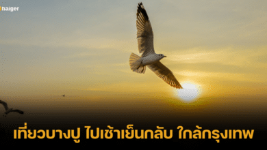 ชวนเที่ยวบางปู แบบไปเช้าเย็นกลับ ใกล้กรุงเทพ เดินทางง่ายด้วยรถไฟฟ้า BTS