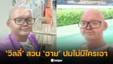 วิลลี่ ผีก้าบก้าบ ดราม่าจอย แหวดศรี