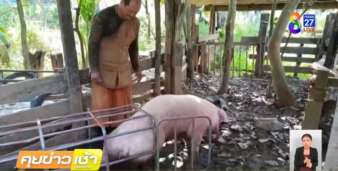 ดูข่าวช่อง 8 วันนี้