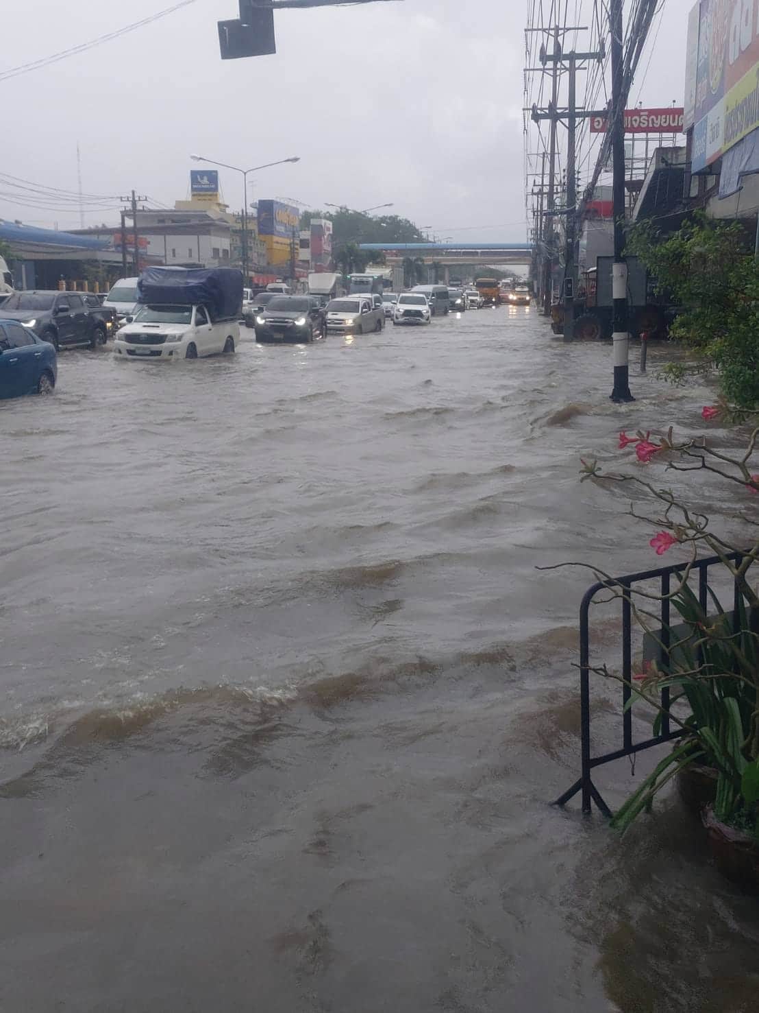 ดูข่าวฝนวันนี้