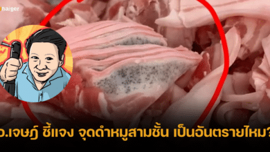 ตอบให้แล้ว อ.เจษฎ์ ชี้แจง จุดดำบนหมูสามชั้น เป็นอันตรายหรือไม่