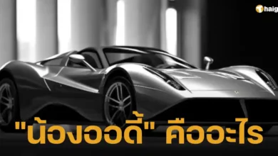 ที่มา น้องออดี้ คืออะไร
