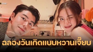 นาย ใบเฟิร์น