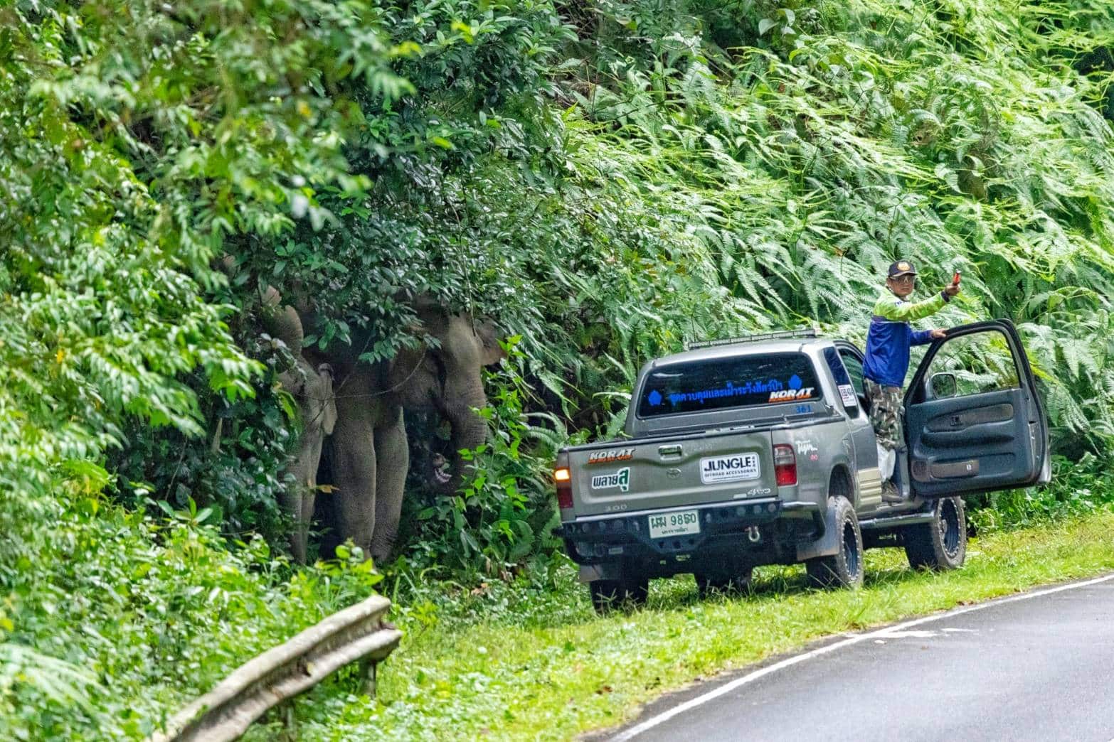 อุทยานเขาใหญ่ จ้าง พ่อสุทธิ