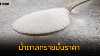 น้ำตาลทรายขึ้นราคา 4 บาท เริ่ม 28 ต.ค. 66