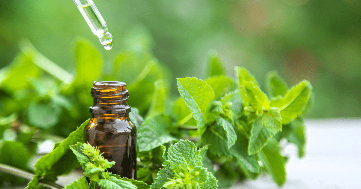 เปิดเคล็ดลับการลดรอยจ้ำแดง