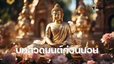 บทสวดมนต์ก่อนนอน แผ่เมตตา พาหุง