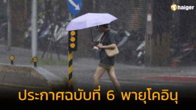 ประกาศฉบับที่ 6 โคอินุ