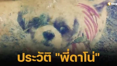ประวัติ พี่ดาโน่ สุนัขพันธุ์ชิสุ อายุ 7 ปี โดนเจ้าของทอดทิ้ง