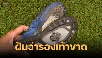 ฝันว่ารองเท้าขาด
