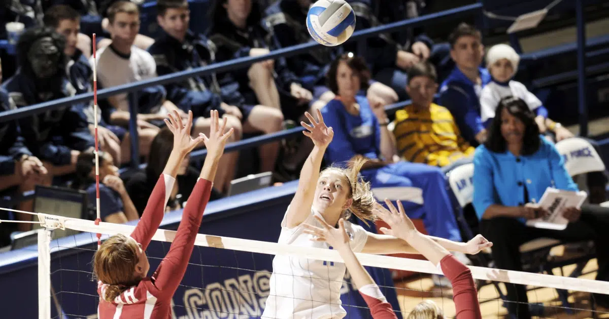 ฝันว่าไปดูการแข่งขันวอลเลย์บอล