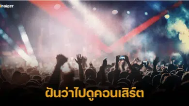 ฝันว่าไปดูคอนเสิร์ต บอกความหมาย ทำนายความฝัน ตีเลขเด็ดนำโชค