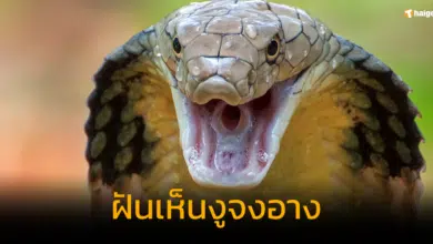 ฝันเห็นงูจงอาง