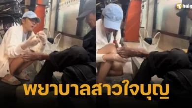 พยาบาลสาวใจบุญ พยาบาลนับดาว