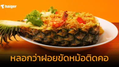 มิจฉาชีพ หลอกว่าฝอยขัดหม้อติดคอ