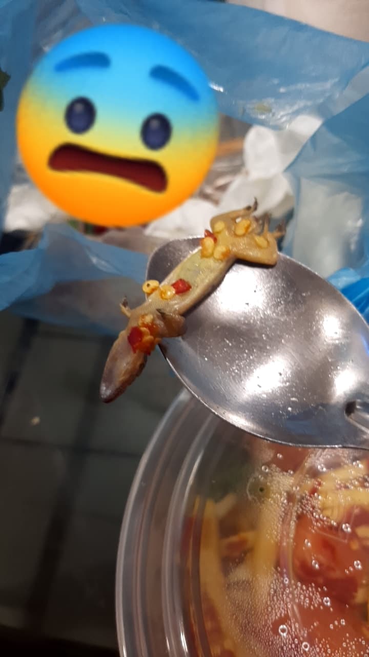 ยำแซลแถมจิ้งจกหมัก