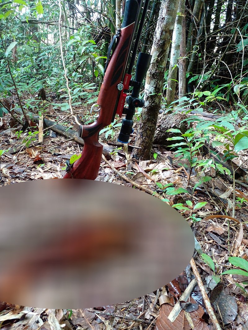 ยิงสัตว์ป่าคุ้มครอง