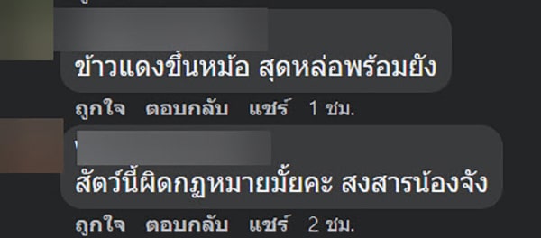 ทัวร์ลง โพสต์ภาพยิงสัตว์ป่าคุ้มครอง