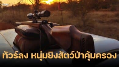ยิงสัตว์ป่าคุ้มครอง