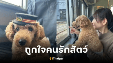 รถไฟญี่ปุ่นใจดี ให้สุนัขนั่งรถไฟเที่ยวไม่ต้องใช้กรง พร้อมเซอร์วิสเฉพาะเหล่าสี่ขา