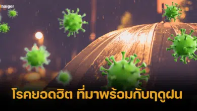 รวมโรคยอดฮิต ที่มาพร้อมกับฤดูฝน แนะวิธีป้องกันโรคร้าย