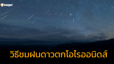 วิธีชมฝนดาวตกโอไรออนิดส์