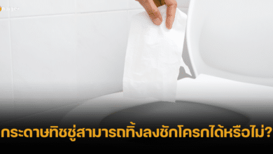 สรุปแล้ว กระดาษทิชชู่ทิ้งลงชักโครกได้หรือไม่ แนะใช้กระดาษทิชชู่ให้ถูกประเภท