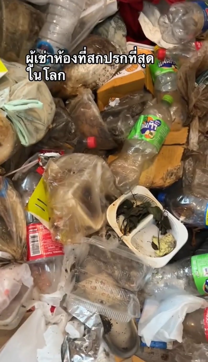 สาวเช่าห้องหน้าสวย แต่สภาพข้างในเน่าเหม็น