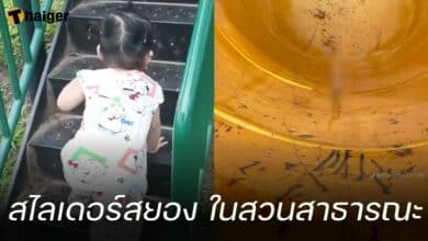 สไลเดอร์เด็ก ไม้เสียบ