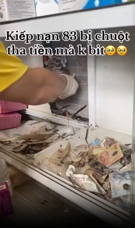 หลังกำแพงมีธนบัตรซ่อนอยู่จำนวนมาก