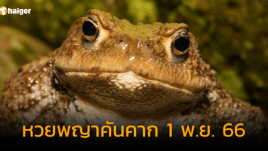 หวยพญาคันคาก 1 พ.ย. 66