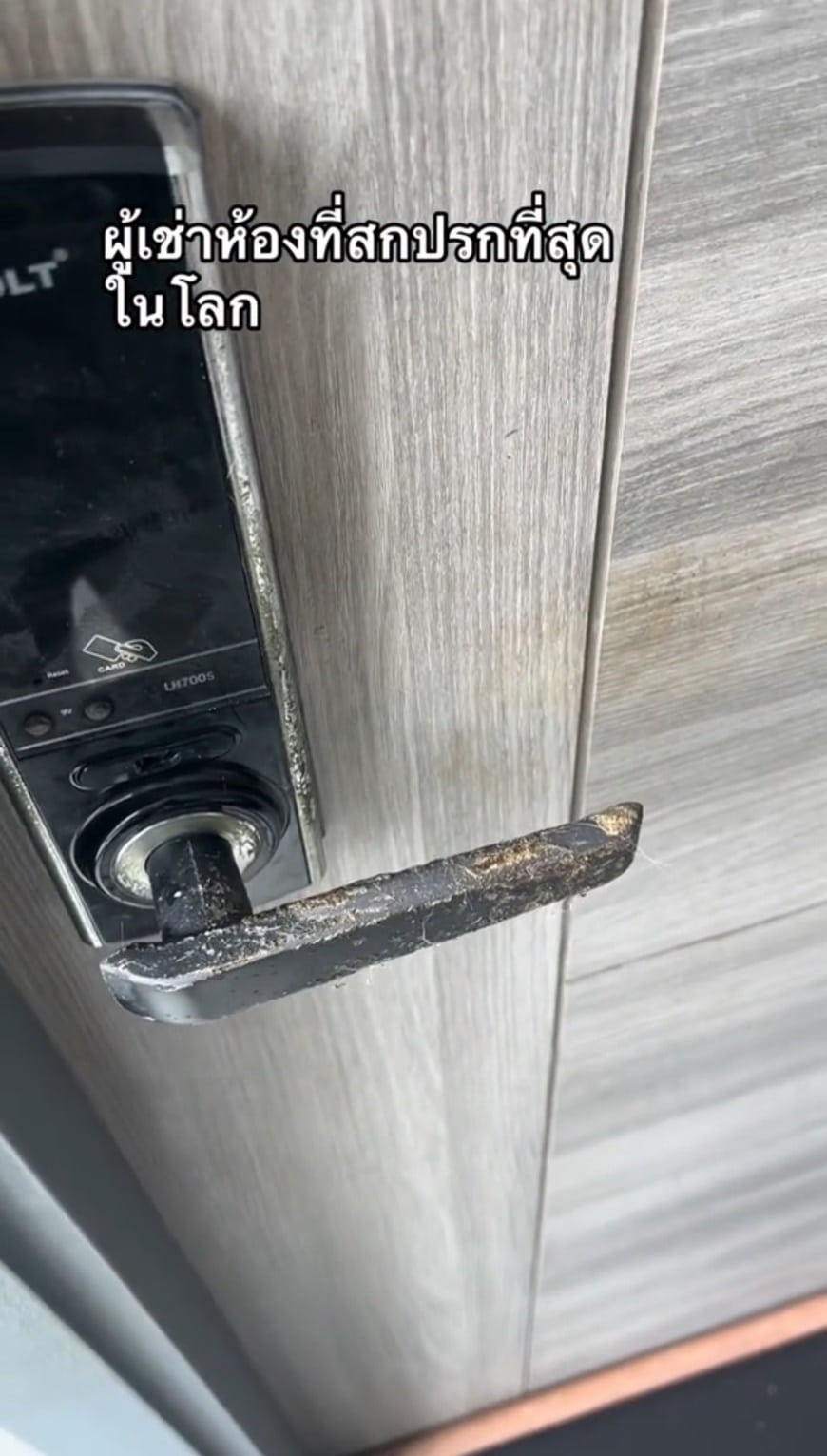 ห้องเช่าที่สกปรกที่สุด