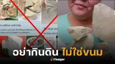 อ.เจษฎ์ เบรกกระแส 'กินดิน' เพื่อขับสารพิษ วิจัยชี้เสี่ยงเป็นโรคฉี่หนู (1)