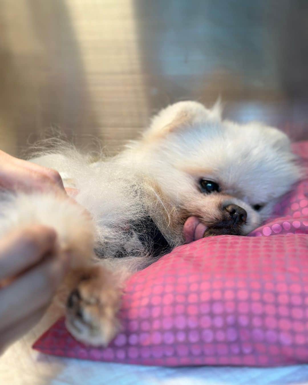 อั้ม พัชรา ให้กำลังใจน้องสตางค์