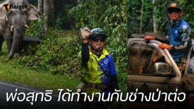 อุทยานเขาใหญ่ จ้าง พ่อสุทธิ