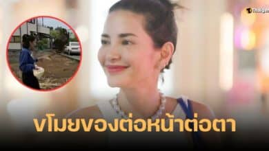 เหยี่ยวโฉบขนมอ้อม พิยดา