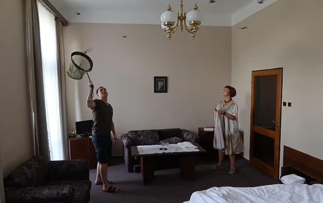 เจ้าหน้าที่ Radek Zemen และพนักงานต้อนรับของโรงแรมเข้ามาช่วยจับค้างคาว