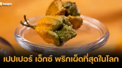 เปปเปอร์ เอ็กซ์ พริกเผ็ดที่สุดในโลก