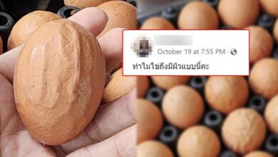 ไข่ไก่ เปลือกแข็ง