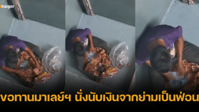 เปิดคลิป ขอทานมาเลย์ นับเงินริงกิตจากย่าม บอกเลยว่าเยอะจนนับแทบไม่ไหว