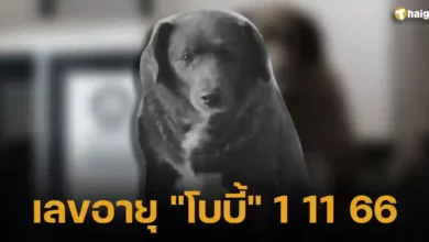 เลขอายุ โบบี้ 1 11 66