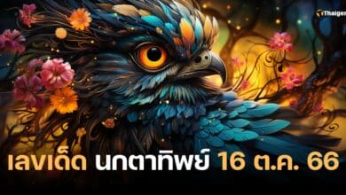 เลขเด็ด นกตาทิพย์ 16 10 66