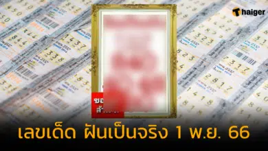 เลขเด็ด ฝันเป็นจริง 1 พ.ย. 66